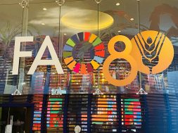 WhatsApp Image 2025-10-16 at 11.35.12