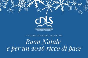 WhatsApp Image 2025-12-23 at 13.53.54